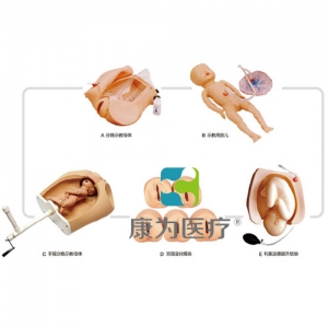 “康為醫(yī)療”高級腹部觸診、分娩機轉綜合模型