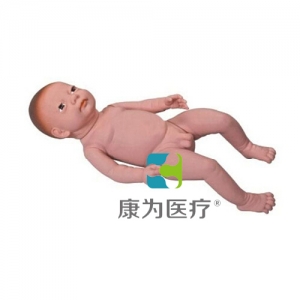 “康為醫(yī)療”高級出生嬰兒模型(男嬰、女嬰任選)