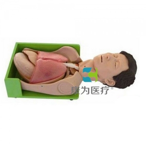 “康為醫(yī)療”胃腸減壓、吸痰標(biāo)準(zhǔn)化模擬病人