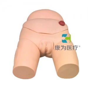 “康為醫(yī)療”高級(jí)整體女性導(dǎo)尿模型