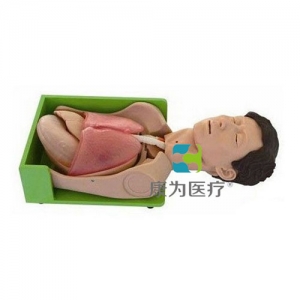 “康為醫(yī)療”胃腸減壓、吸痰標(biāo)準(zhǔn)化模擬病人