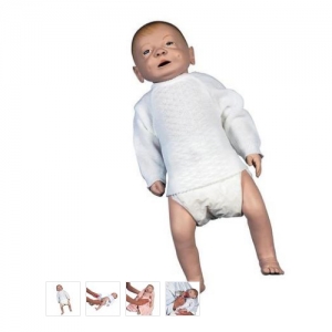 德國3B Scientific?哺乳嬰兒護(hù)理模型，男