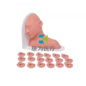 “康為醫(yī)療”高級(jí)耳部檢查模型,高級(jí)耳部檢查模型（14種、19種、25種病變）