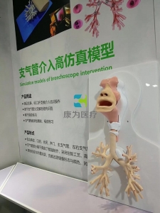 支氣管鏡介入高仿真模型，支氣管鏡介入模擬器