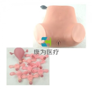 高級(jí)婦科綜合檢查模型(婦科雙合診、三合診檢查模型）