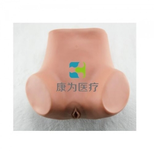 “康為醫(yī)療”子宮底檢查模型,產(chǎn)后子宮底評定、按摩訓練模型,子宮底檢查評定模型