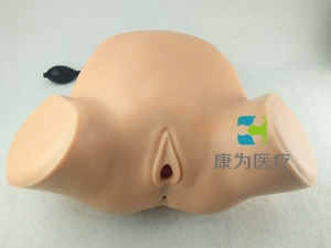 “康為醫(yī)療”婦產(chǎn)科四步觸診肛查陰道檢查監(jiān)測考核指導(dǎo)模型,高級腹部觸診、分娩機(jī)轉(zhuǎn)綜合模型
