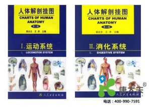 醫(yī)學(xué)教學(xué)彩色掛圖、軟件、光盤