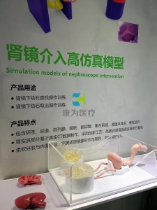 泌尿外科手術(shù)模擬器,泌尿系統(tǒng)結(jié)石手術(shù)介入模擬器-腎軟鏡介入模擬系統(tǒng),腎結(jié)石軟鏡手術(shù)模擬裝置，腎鏡介入手術(shù)仿真模型