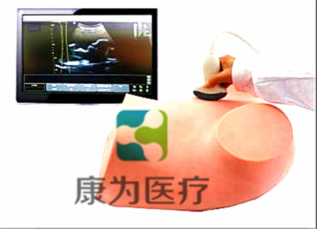 超聲引導(dǎo)下羊膜穿刺術(shù)訓練模型