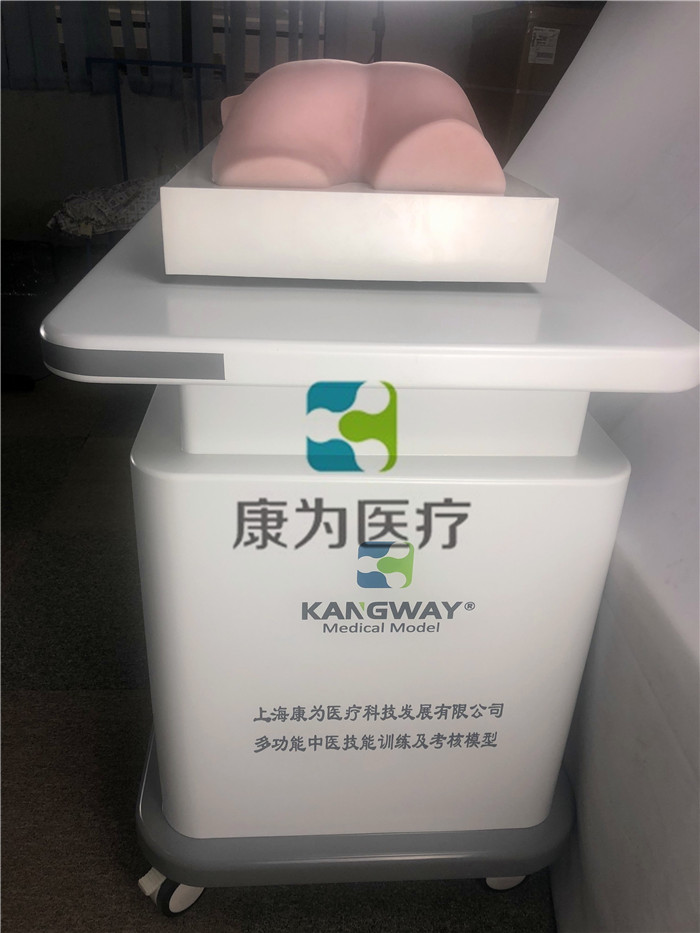 中醫(yī)拔罐、推拿、艾灸、刮痧、砭術技能訓練模型