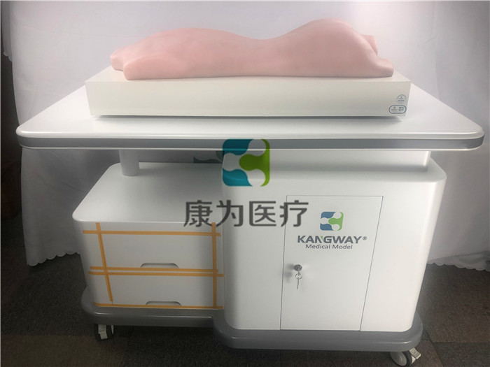 中醫(yī)拔罐、推拿、艾灸、刮痧、砭術技能訓練模型