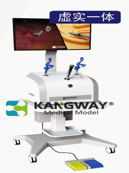 腹腔鏡下膽囊切除虛實結合模擬系統(tǒng) Virtual reality combined simulation system for cholecystectomy MODEL：SynDaver6510系列 品牌：SynDaver 辛達弗機器人